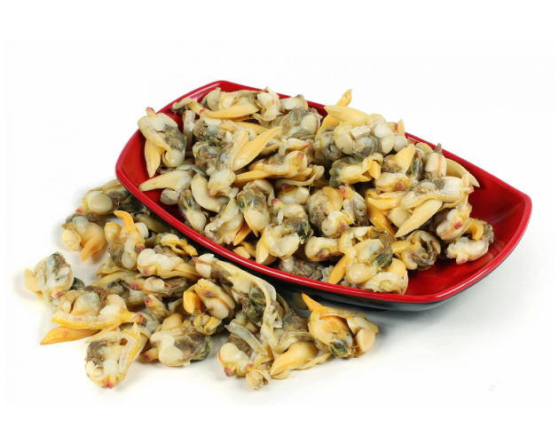 Clams