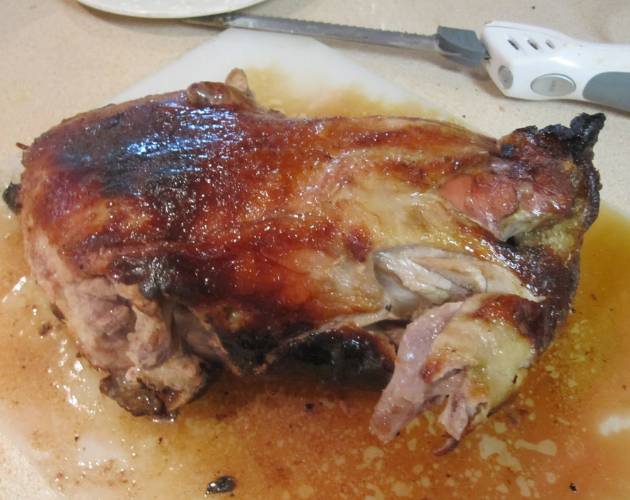 Duck