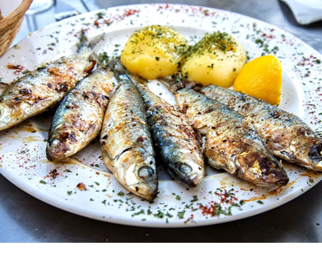 Sardines